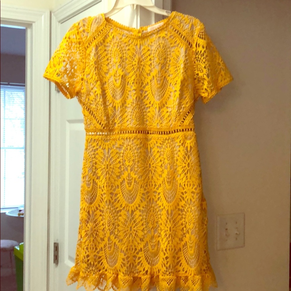 Vici Lace Dress